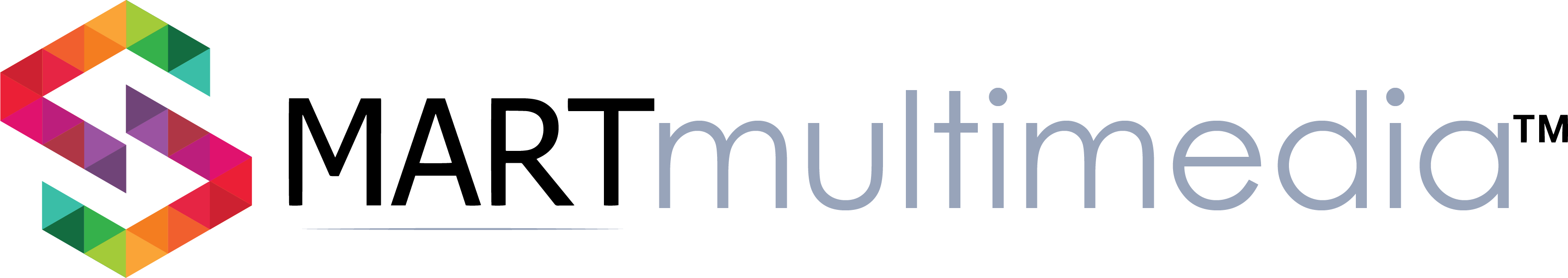 Smart Multimedia - Multimedia Innovations Since 1998 | Distributors of SmartNavi in-dash navigation systems logo